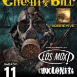 www.sonidosocultos.com