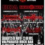 www.sonidosocultos.com