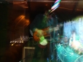 IMG_9347-compressor