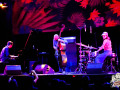 Avishai-Cohen-en-Chile-16