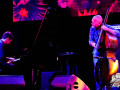 Avishai-Cohen-en-Chile-17