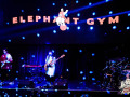 Elephant-Gym-live-chile-2024-Fotos-Rodrigo-Damiani-www.sonidosocultos-19
