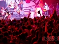 rock  (11)