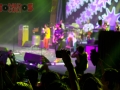 rock  (13)