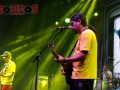 rock  (14)