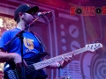rock  (21)