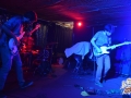 Invernadero en Mibar Sonidos Ocultos 3