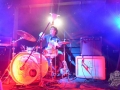 perrosky en bar de rene pro woodstaco (3)-min (Copiar)