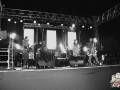 Mula-colombia-1