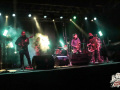 Mula-colombia-3