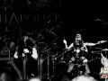IMG_8981
