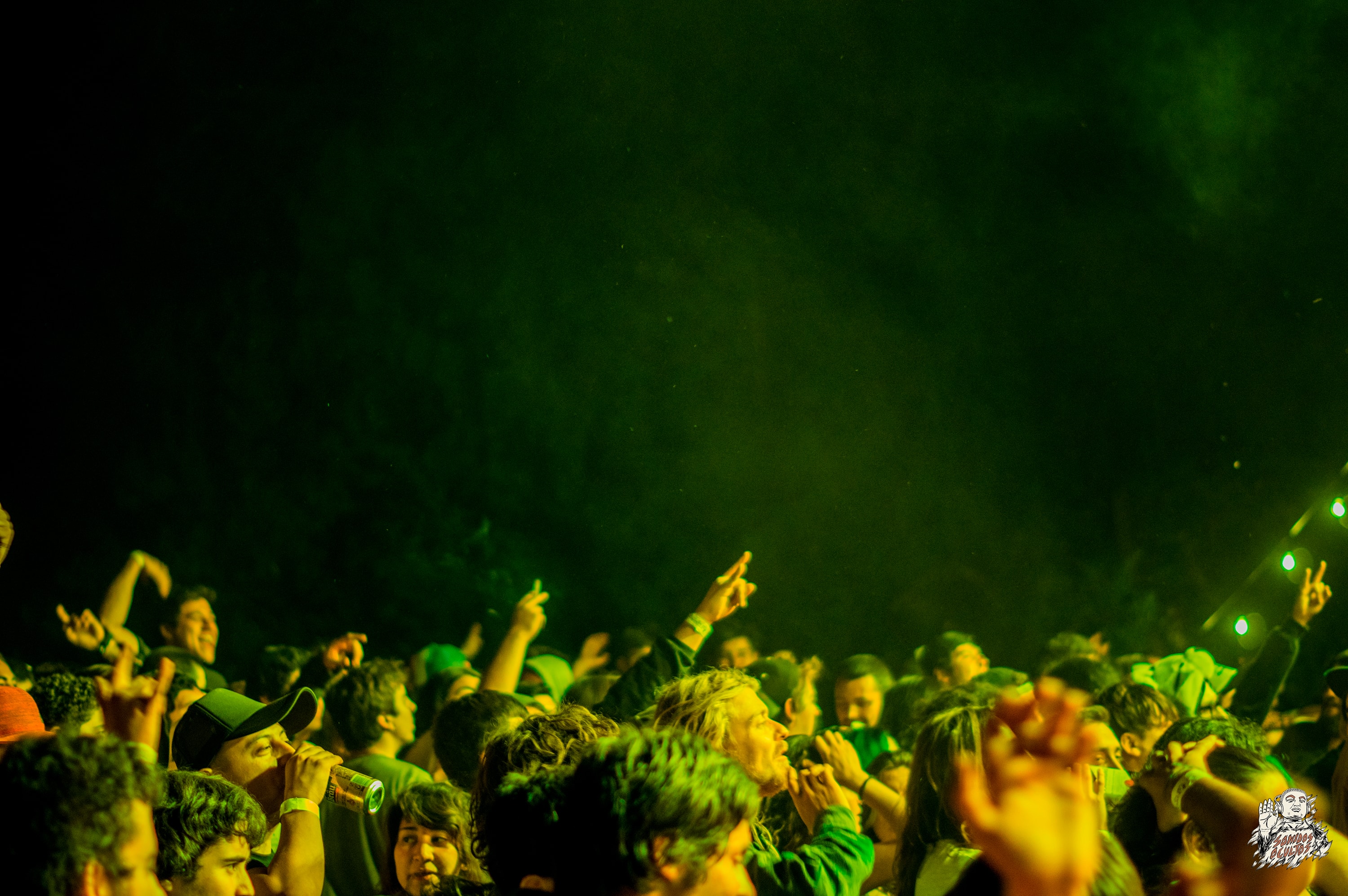 Woodstaco 2017 www.sonidosocultos.com (34)