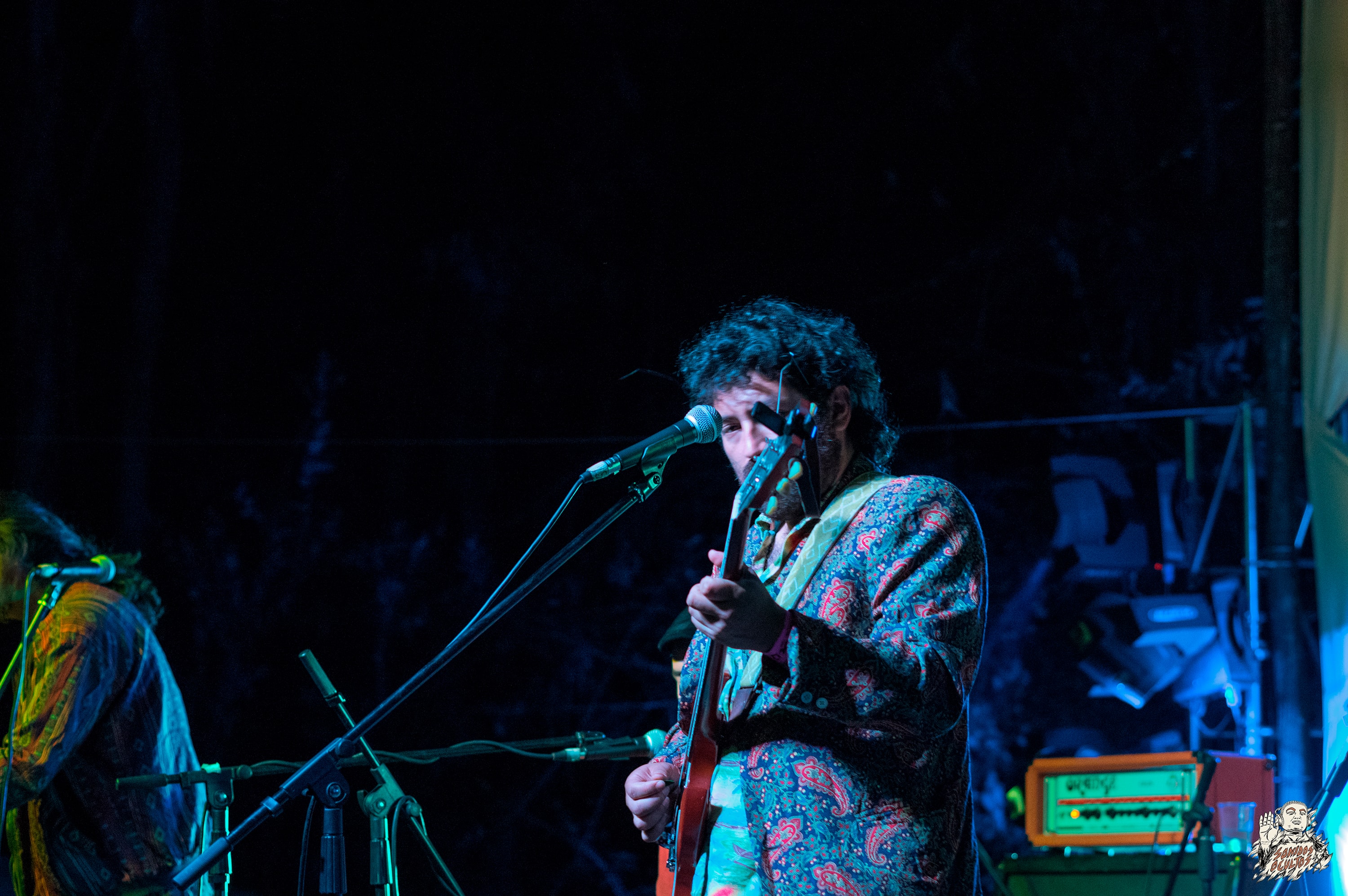 Woodstaco 2017 www.sonidosocultos.com (36)