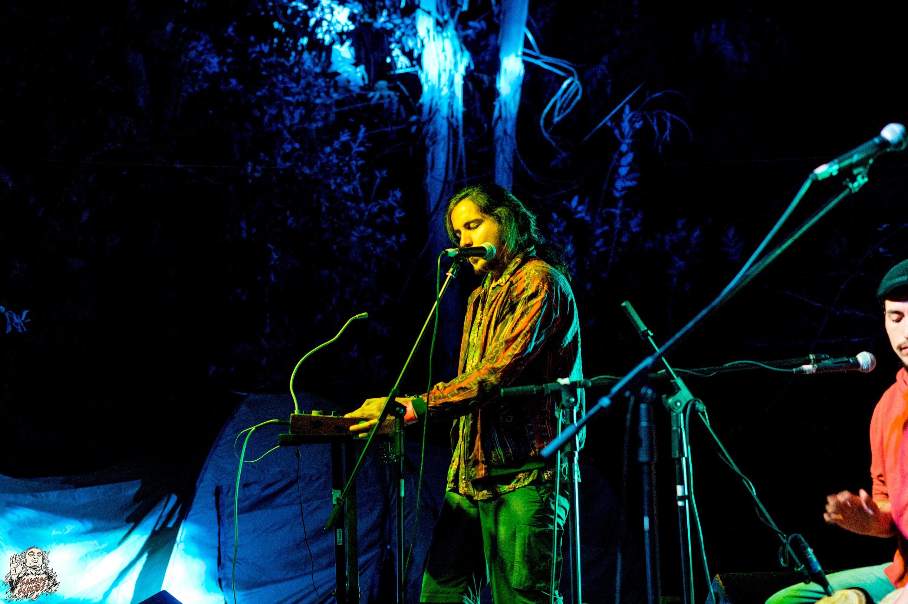 Woodstaco 2017 www.sonidosocultos.com (37)