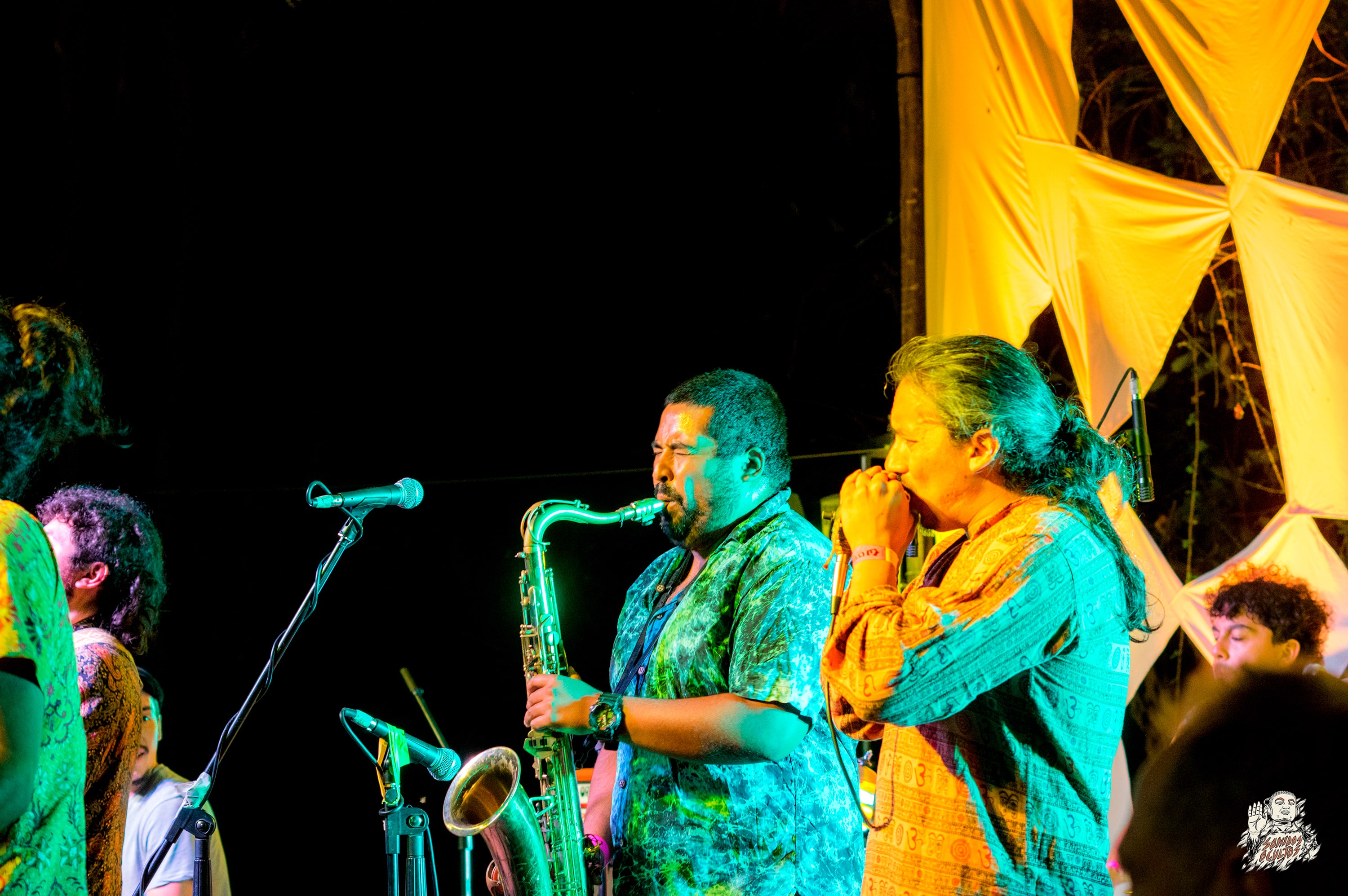 Woodstaco 2017 www.sonidosocultos.com (38)