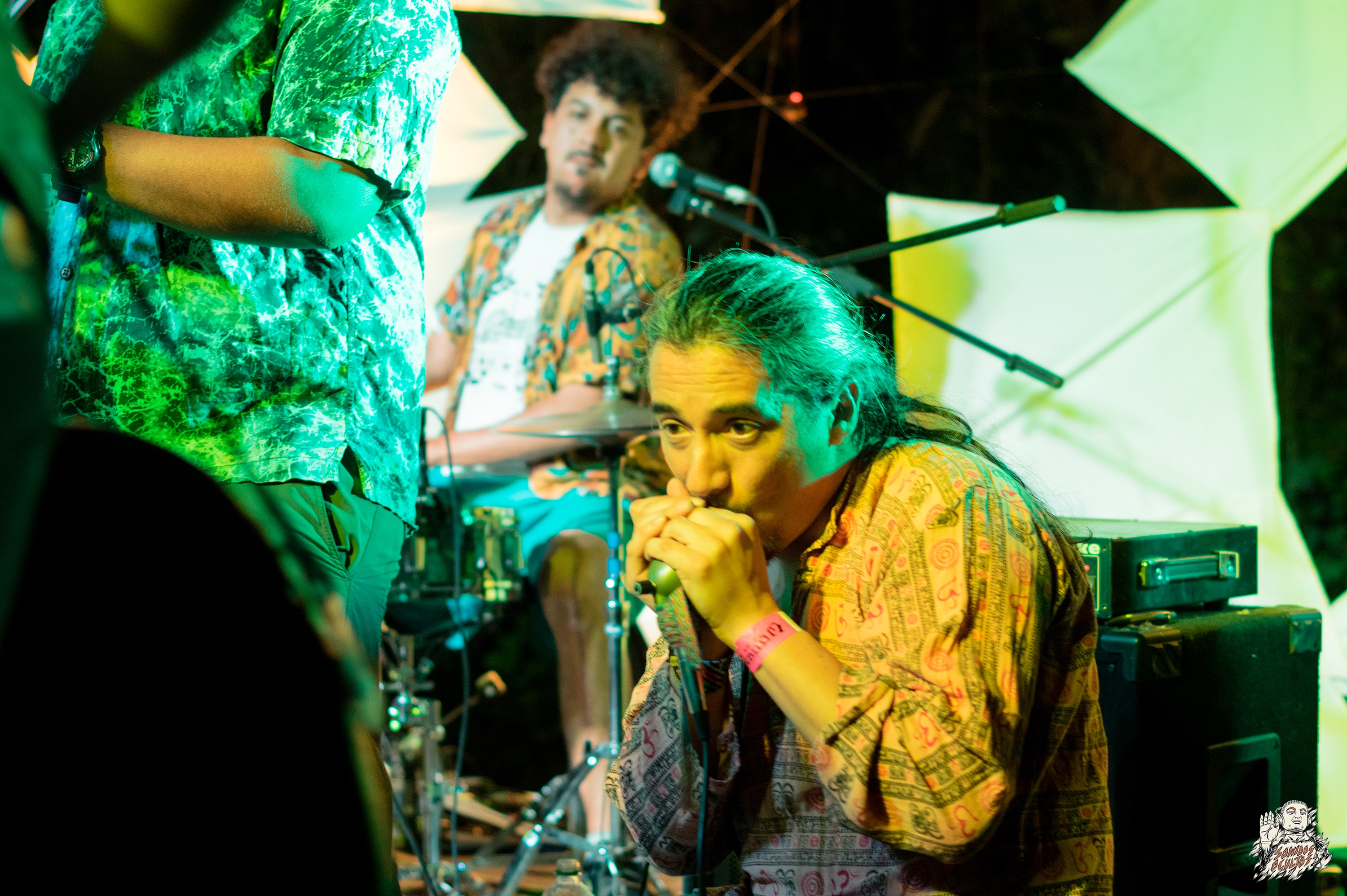 Woodstaco 2017 www.sonidosocultos.com (39)