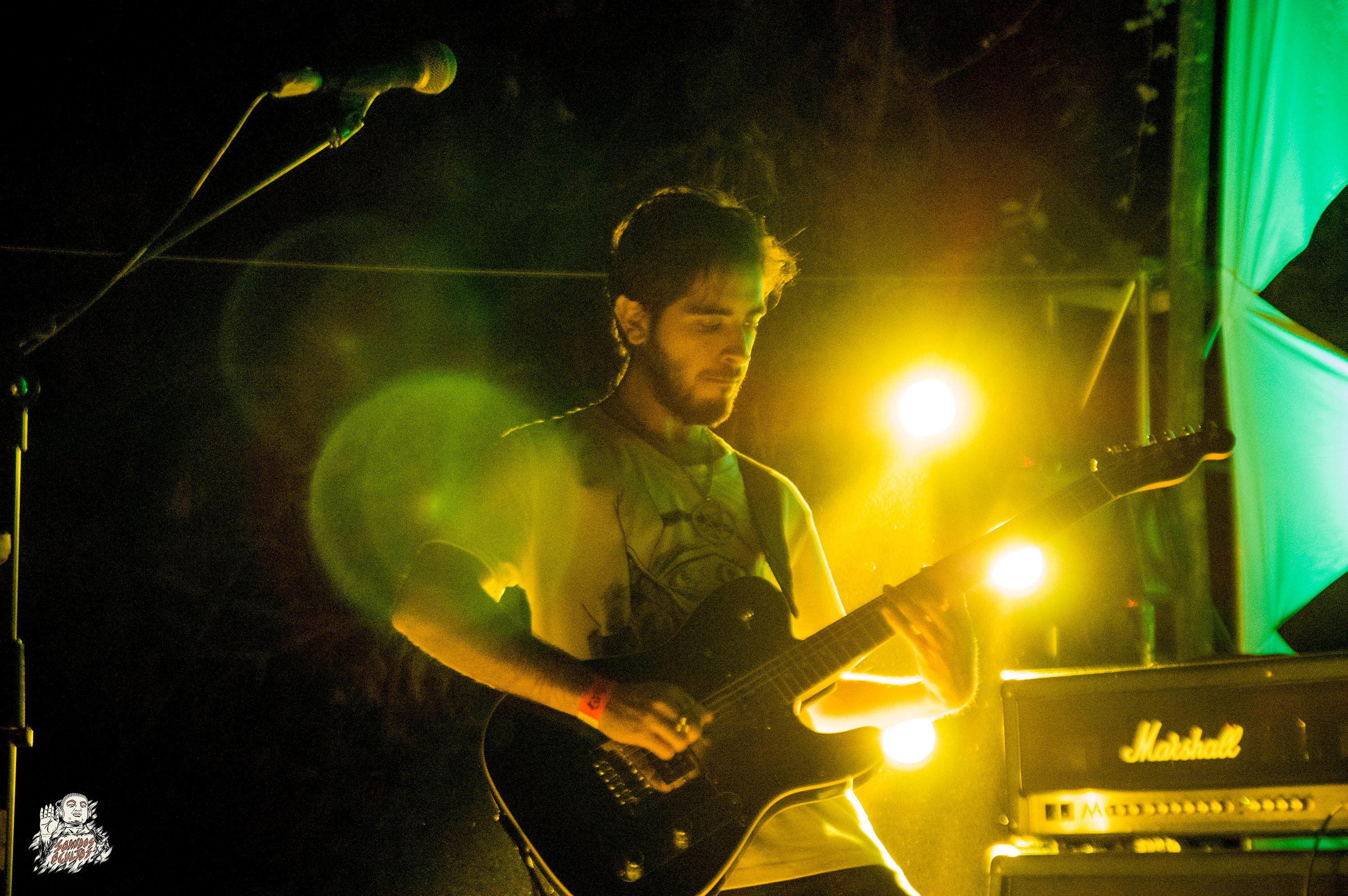Woodstaco 2017 www.sonidosocultos.com (58)
