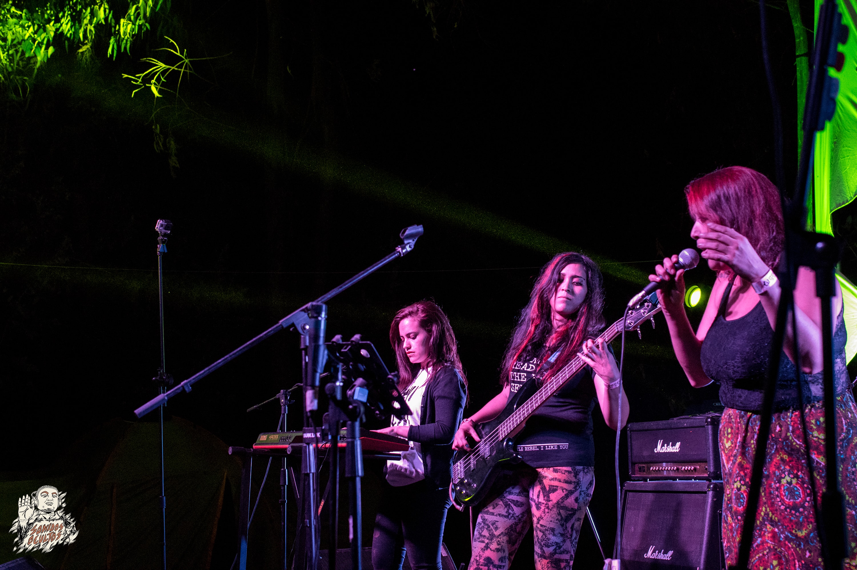 Woodstaco 2017 www.sonidosocultos.com (62)