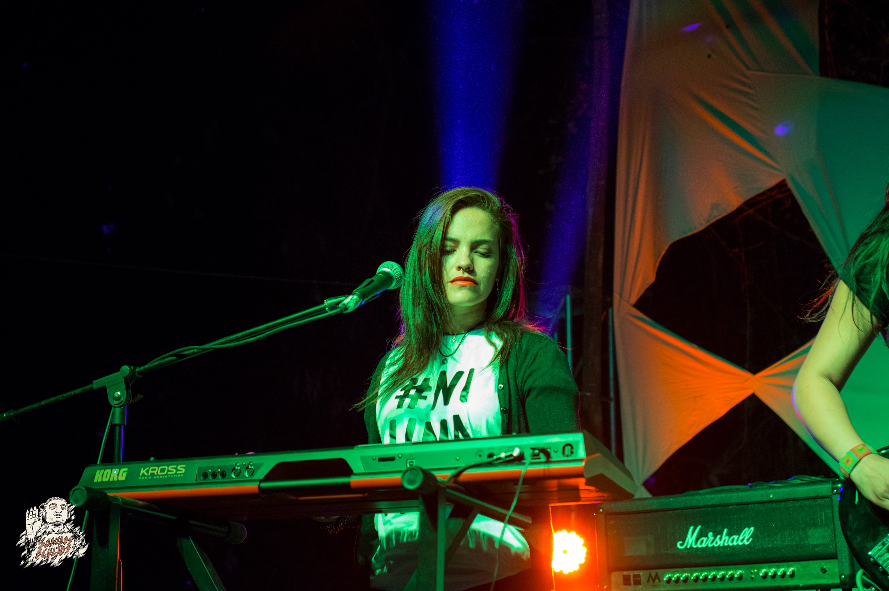 Woodstaco 2017 www.sonidosocultos.com (63)