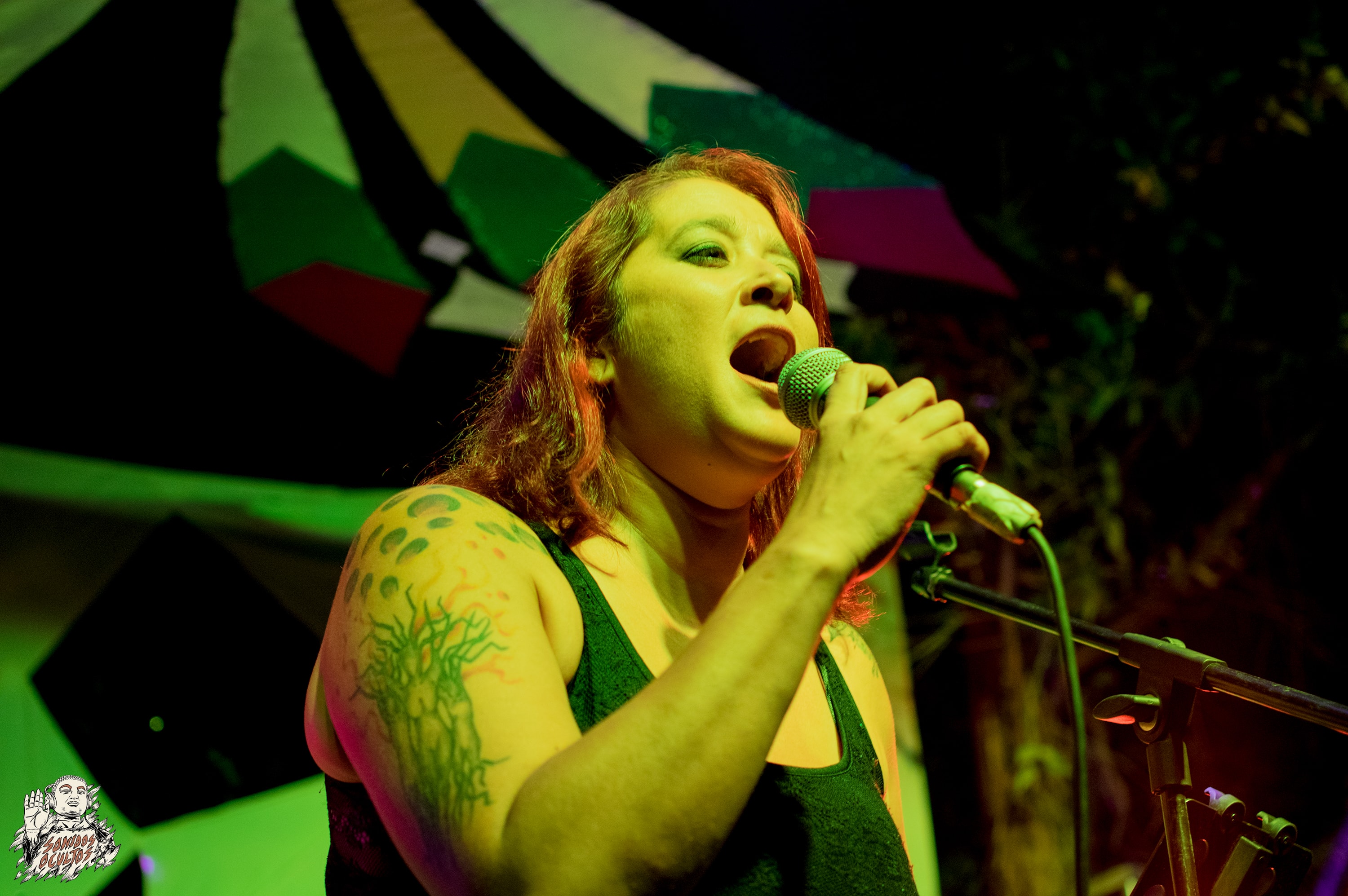 Woodstaco 2017 www.sonidosocultos.com (65)