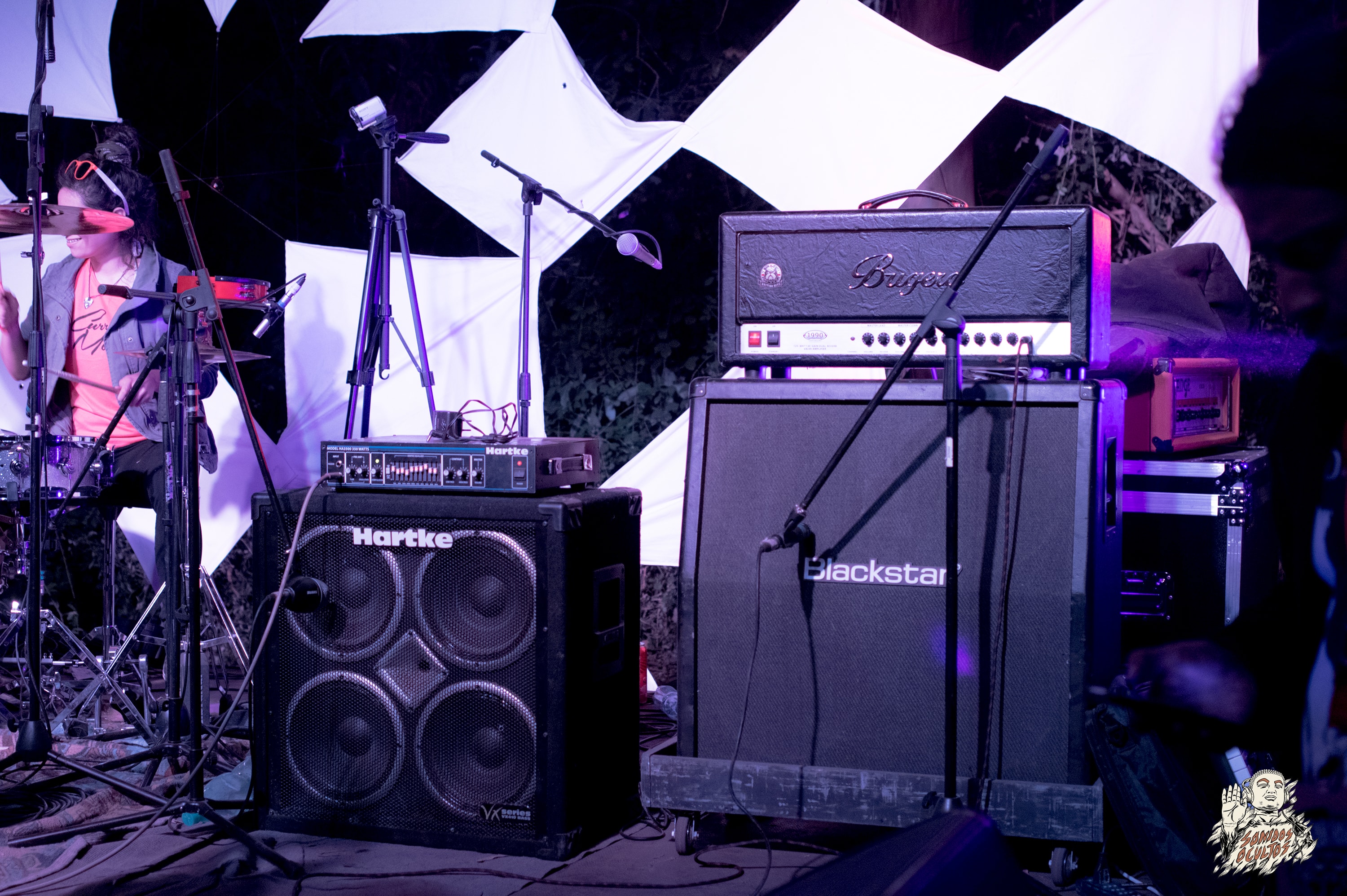 Woodstaco 2017 www.sonidosocultos.com (66)