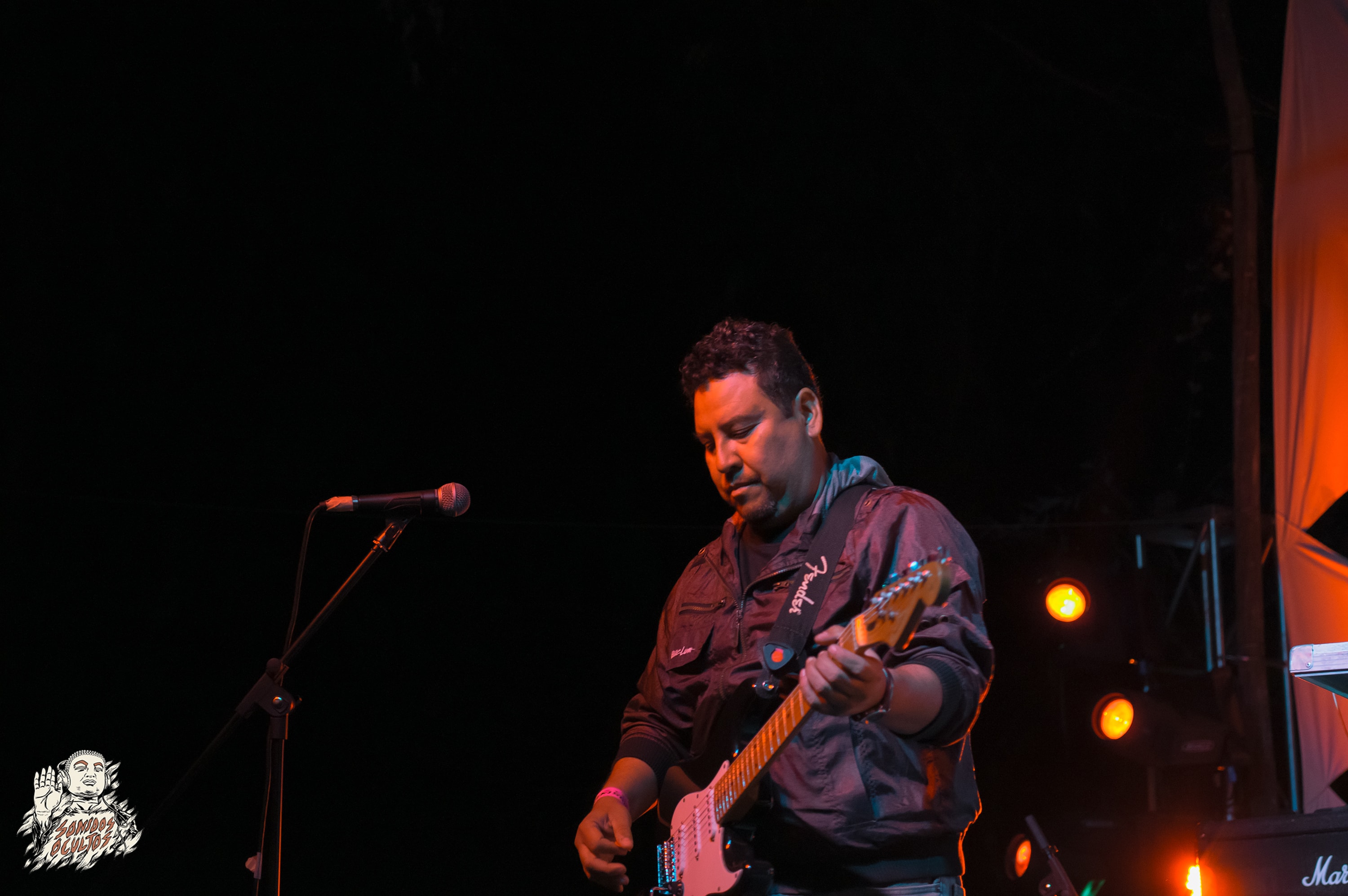 Woodstaco 2017 www.sonidosocultos.com (67)