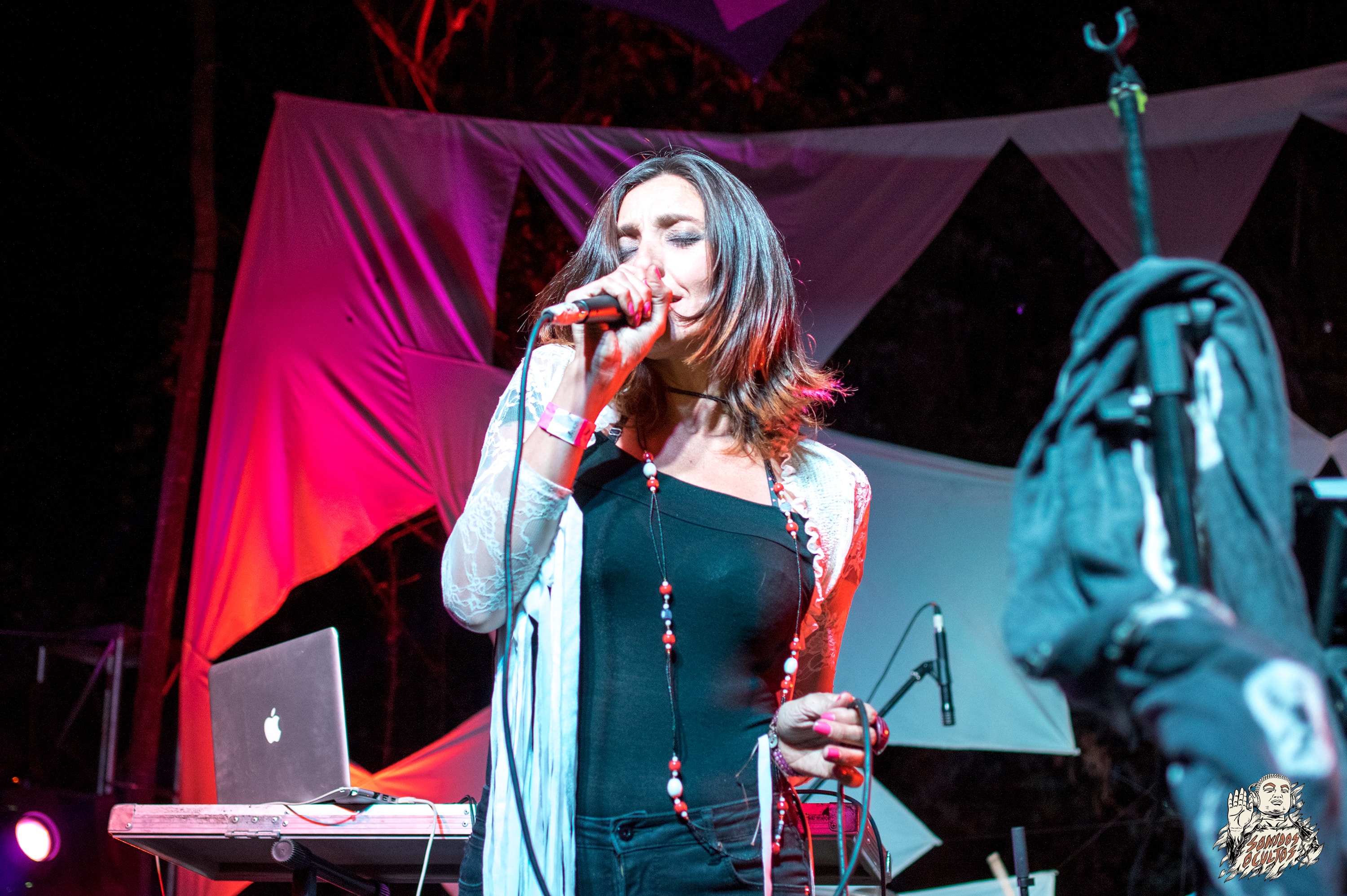 Woodstaco 2017 www.sonidosocultos.com (69)