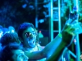 Woodstaco 2017 www.sonidosocultos.com (42)