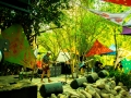 Woodstaco 2017 www.sonidosocultos.com (50)