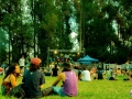Woodstaco 2017 www.sonidosocultos.com (51)
