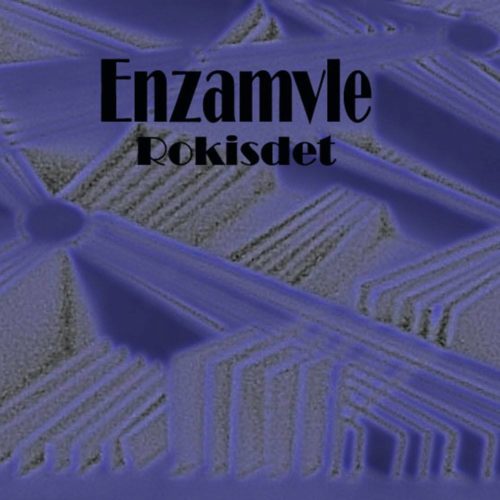 Enzamvle- «Rokisdet» (2016)