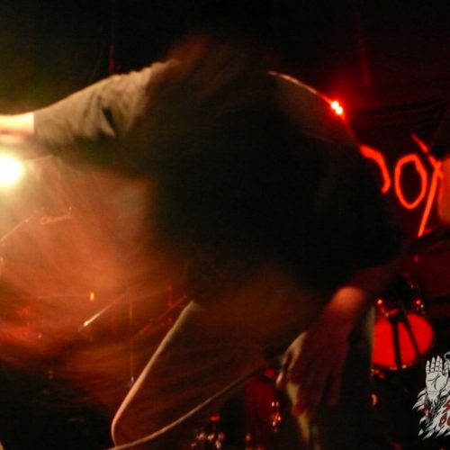 Erythroxylum en Bar de Rene (Nov/2016)
