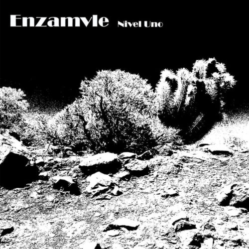 Enzamvle – “Nivel Uno” (2016)