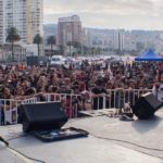 Kuervos del Sur 2017 www.sonidosocultos.com