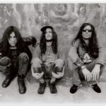 Wild Parade 2020 www.sonidosocultos.com