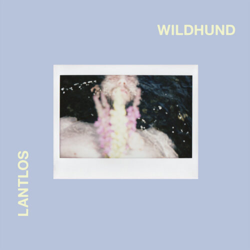 Lantlôs – Wildhund (2021)