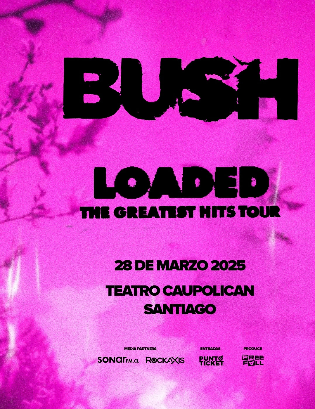 Bush vuelve a Chile este 28 de marzo (2025)